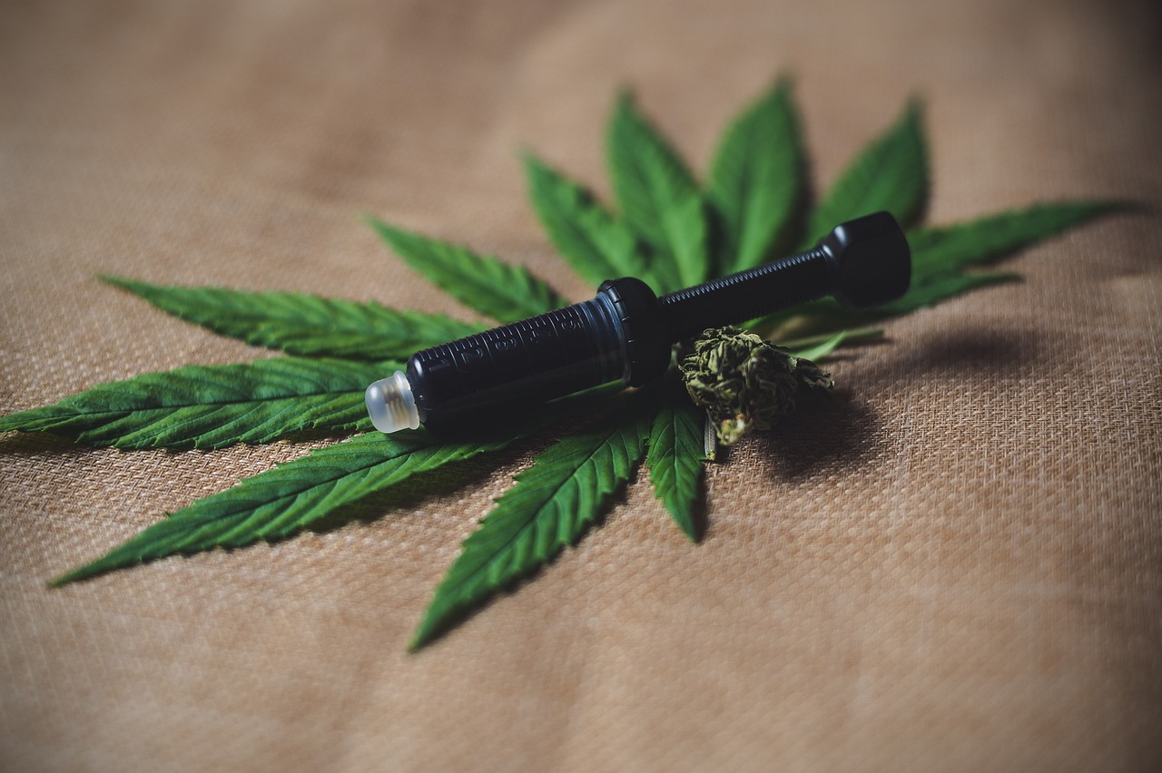 Cannabis plant with healing properties by CBD-Infos.com